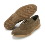 Vinci Suede Oxford // Bruno (US: 10)