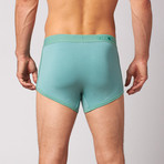 Boxer Briefs // Wasabi Mint (S)