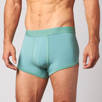 Boxer Briefs // Wasabi Mint (S)