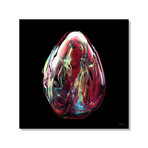 EGG (16"L x 16"H // Framed Print)