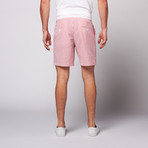 8" Inseam Seersucker Shorts // Red + White (30)
