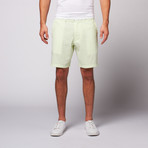 8" Inseam Seersucker Shorts // Citrus + White (31)
