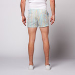 4" Inseam Seersucker Shorts // Mint + Ocean (36)