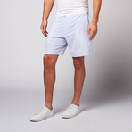 8" Inseam Seersucker Shorts // Blue + White (36)
