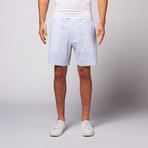 8" Inseam Seersucker Shorts // Blue + White (32)