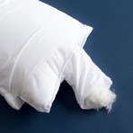 Protect-A-Bed Therm-A-Sleep Adjustable Pillow System