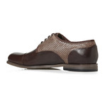 BUB Shoes // Perforated Cap Toe Oxford // Brown (Euro: 42)