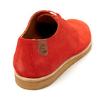 Paddy Lo Perfo Derby // Coral Suede (Euro: 44)