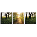 Sunny Field (20"W x 20"H x 0.5"D)