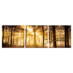 Sunset Trees (20"W x 20"H x 0.5"D)