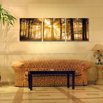 Sunset Trees (20"W x 20"H x 0.5"D)