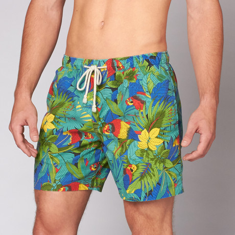 Classic Boardshort // Blue + Bird (28)