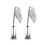 Anthurium // Bundle of 2 (Black)