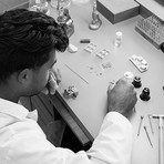 CVDK Real Moon Joure