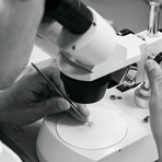 CVDK Real Moon Joure