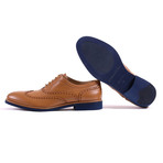 Wingtip // Tan + Blue (US: 7.5)