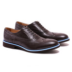 Kabaccha // Wingtip // Dark Brown + Blue (US: 7.5)