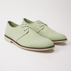 Klein Chambray Oxford // Seafoam (US: 9.5)