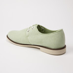 Klein Chambray Oxford // Seafoam (US: 11)