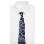 Bold Paisley Tie // Brown