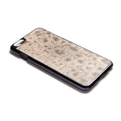 Atlantic Wolf Fish iPhone Case // Gray (iPhone 6s)