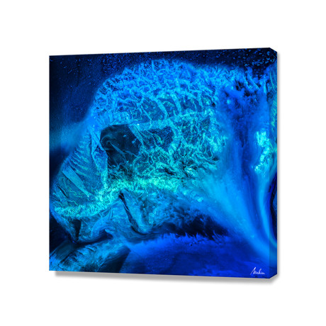 Blue Medusa - Detail // Stretched Canvas (16"L x 16"H)