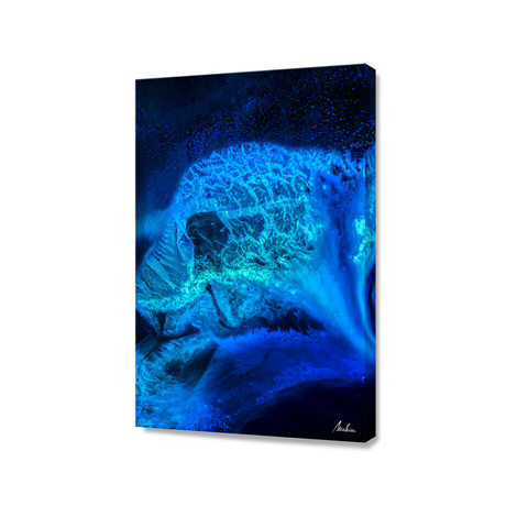 Blue Medusa // Stretched Canvas (24"W x 16"L x 1.5"D)