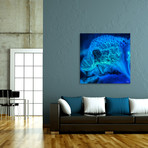 Blue Medusa - Detail // Stretched Canvas (16"L x 16"H)