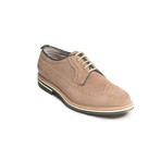 Derby Wing Cup Camoscio Taupe // Beige (Euro: 43)