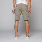 Sao Paulo Short // Grey (36WX32L)