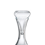 Vintner's Aerating Funnel + Choice Decanter