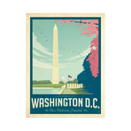 Washington D.C. Cherry Blossoms