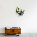 Piece of Land // Shipo Planter (White Edge)