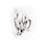 Swans (16"L x 24"H x 2"D)