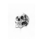 Skull 52 (18"W x 24"H x 2"D)