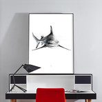 Shark 2 (18"W x 24"H x 2"D)