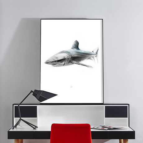 Shark 1 (18"W x 24"H x 2"D)