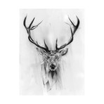 Red Deer (16"W x 24"H x 2"D)