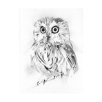 Wise (18"W x 24"H x 2"D)