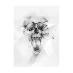 Cocaine (18"W x 24"H x 2"D)