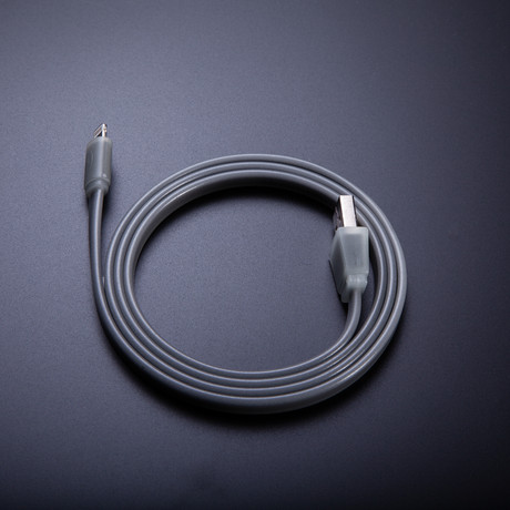 Apple Lightning Color Cable // Gray (3 Feet)