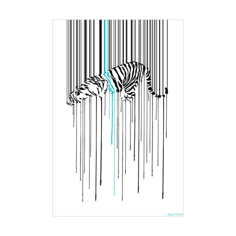 Tiger Stripe (16"L x 20"W)