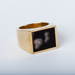 Black Onyx Brass Ring (Size 5)