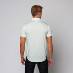 Kansas Stripe Button Up // Mint (S)