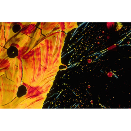 Japanese Dry Lager (Metallic Print)