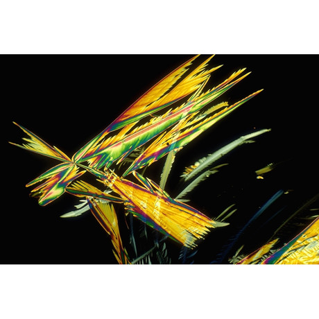 Canadian Ice Lager (Metallic Print)