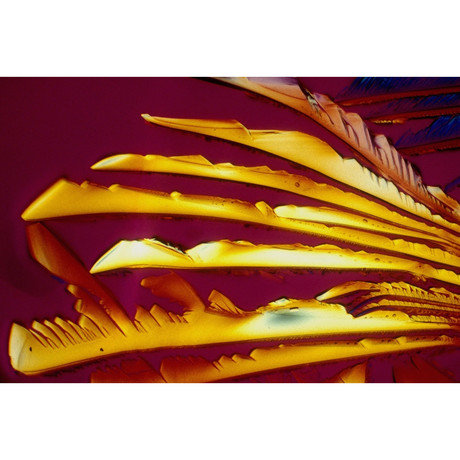 American Draft (Metallic Print)