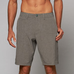 Solid Boardwalker Short // Dark Grey (40)