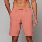 Solid Boardwalker Short // Sunwash (33)