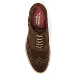 Alexander 1910 // Jardo Suede Brogue // Dark Brown (US: 7)